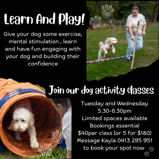 1 x Learn and Play - Doggy activity class